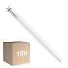 Multipack 10x Philips MASTER LED T8 (EM/Mains) High Output T8 7.6W 1150lm - 840 Cool White | 60cm - Replaces 18W
